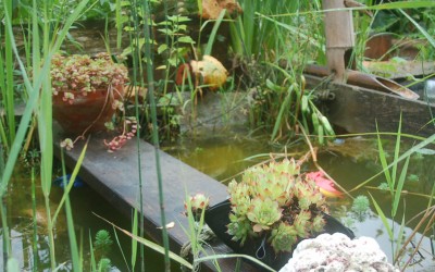 Un pont sur la mare & prendre soin du bassin