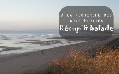 Récolte de bois flottés