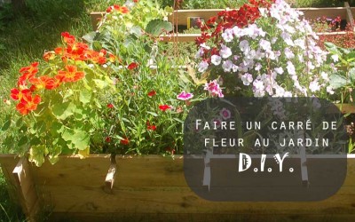 Carré de fleur au jardin