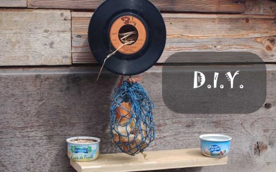 Nid d’oiseau vintage avec un 45 T vinyle