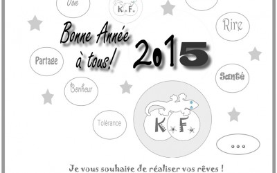 Voeux 2015