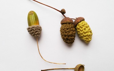 Crochet nature #1 Notre forêt
